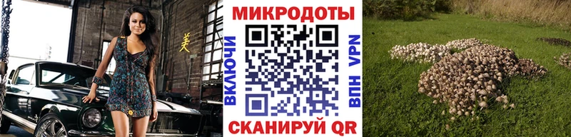 Псилоцибиновые грибы прущие грибы  ОМГ ОМГ маркетплейс  Пучеж  купить закладку 