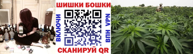 Конопля сатива Пучеж